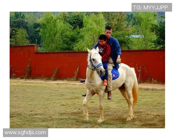 纳纳利骑马射箭投进压哨三分